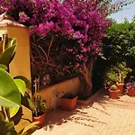 Bouganville *